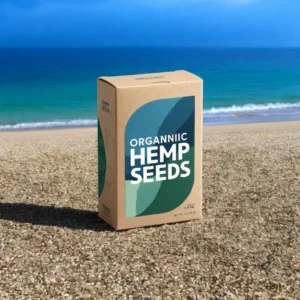 Photoroom-20250121_163758