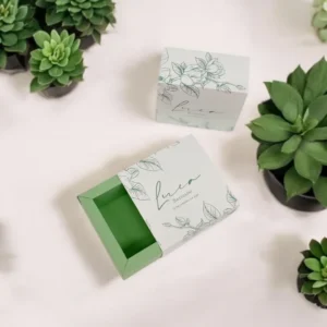 Photoroom-20250123_171334