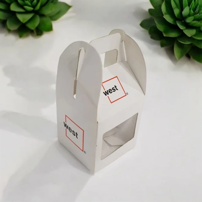 Photoroom-20250124_123556