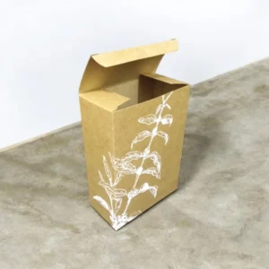 Photoroom-20250124_213900