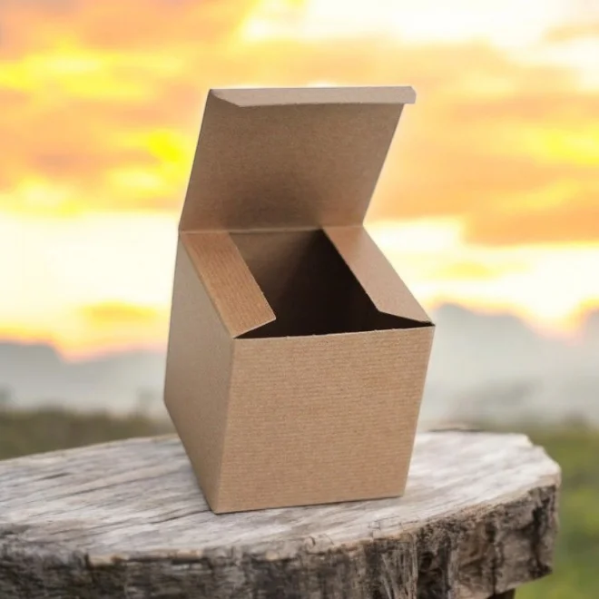 Photoroom-20250125_101646