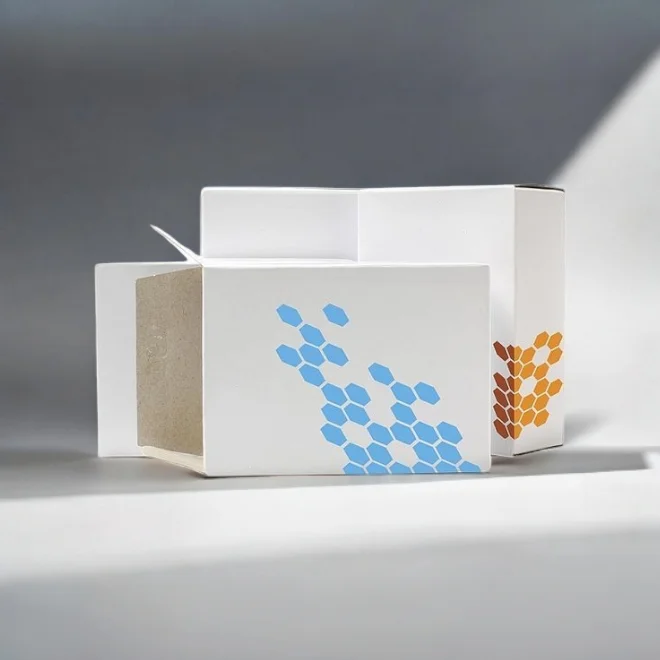 0af0cc573f09f82cb1ed6db09ad8ab54