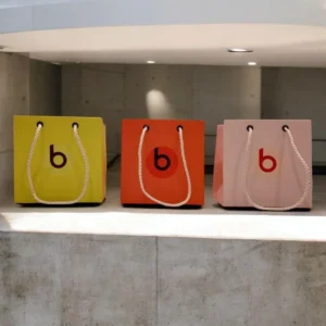 Paper Bags (6)