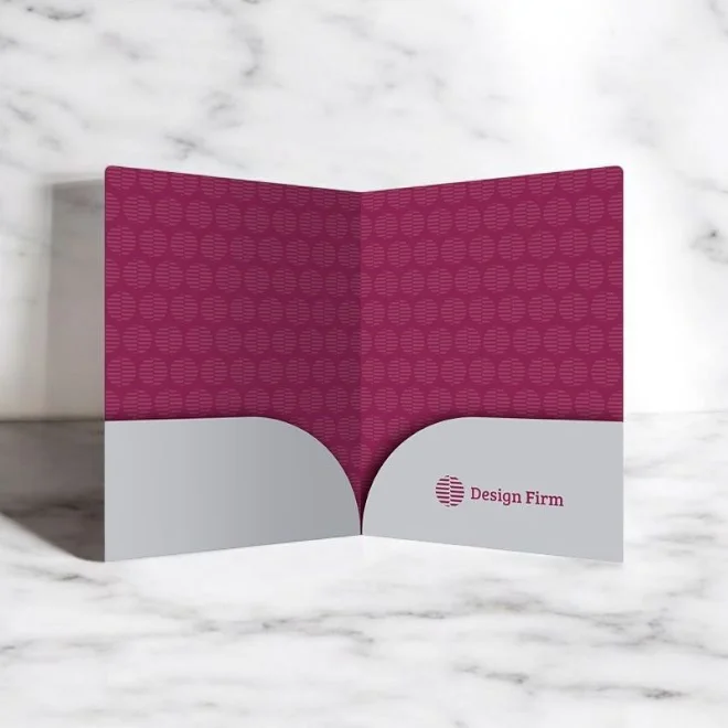 2 panel document folders (3)