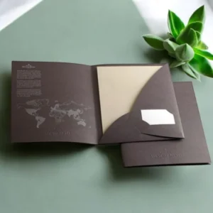 2 panel document folders (6)